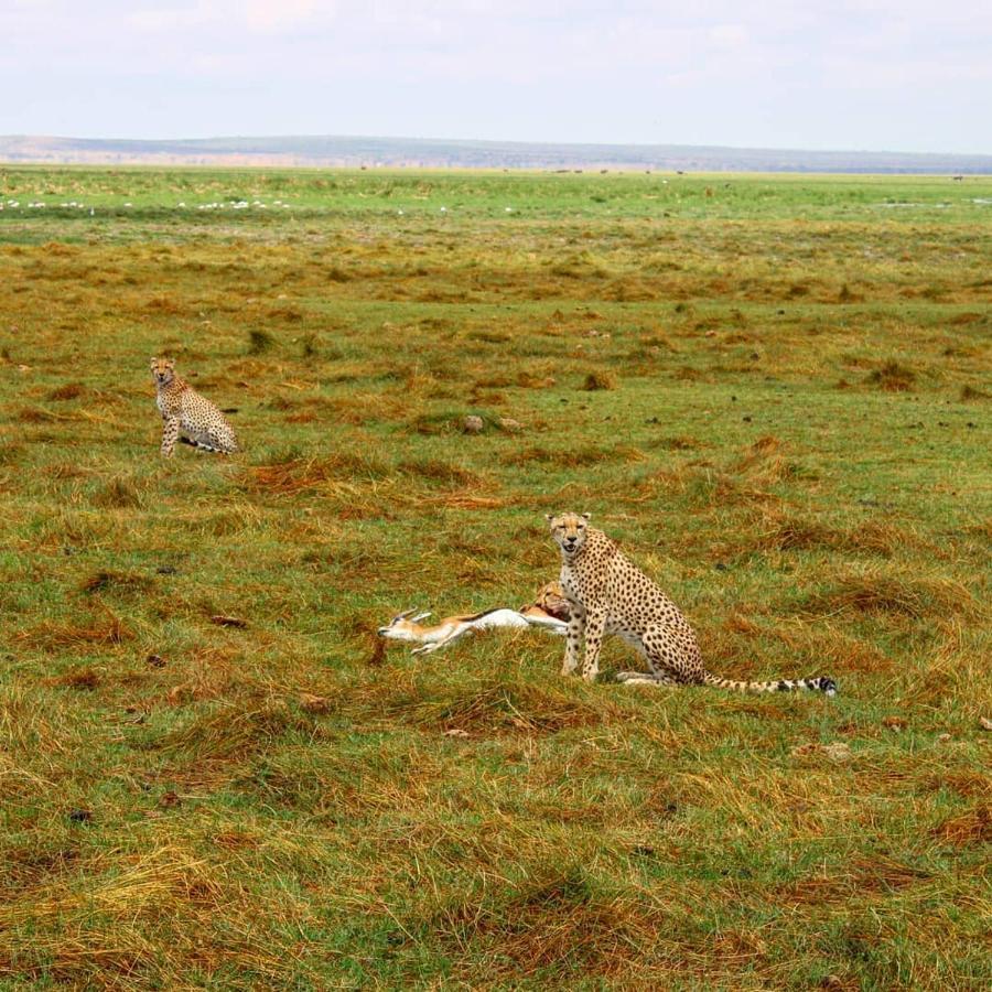 Amboseli Cultural Camping Dış mekan fotoğraf