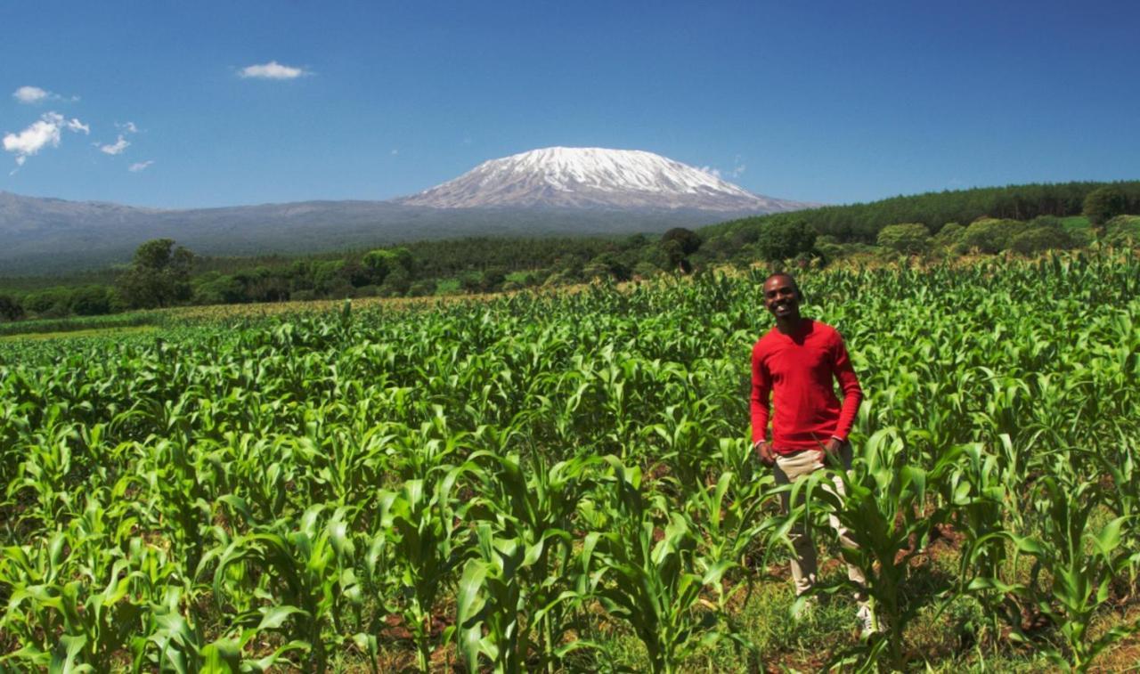 Amboseli Cultural Camping Dış mekan fotoğraf