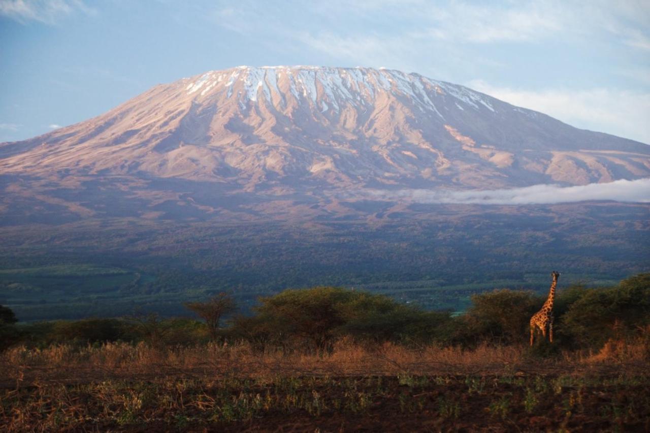 Amboseli Cultural Camping Dış mekan fotoğraf